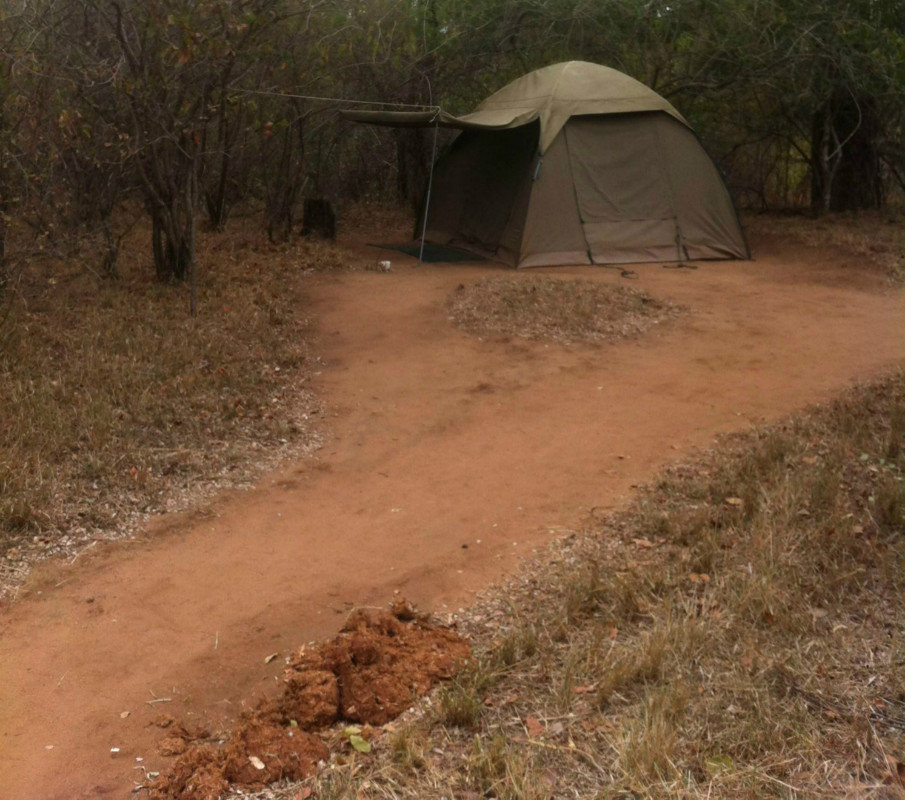 Dome tent at Selati Private Game Reserve for the professional safari course