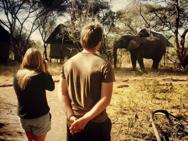 Jomi and Ulrica stood watching an elephant bull (dave) in the Makuleke camp