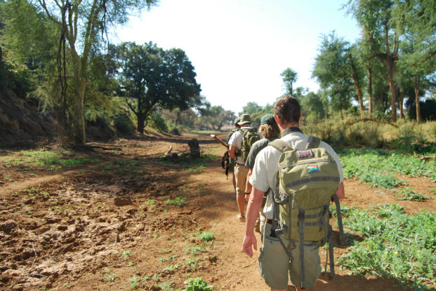 A walking safari through the Makuleke concession, Kruger National Park.