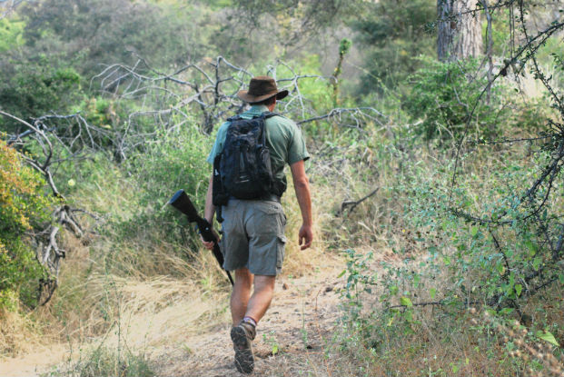 James Bailey walks through the bush at Makuleke
