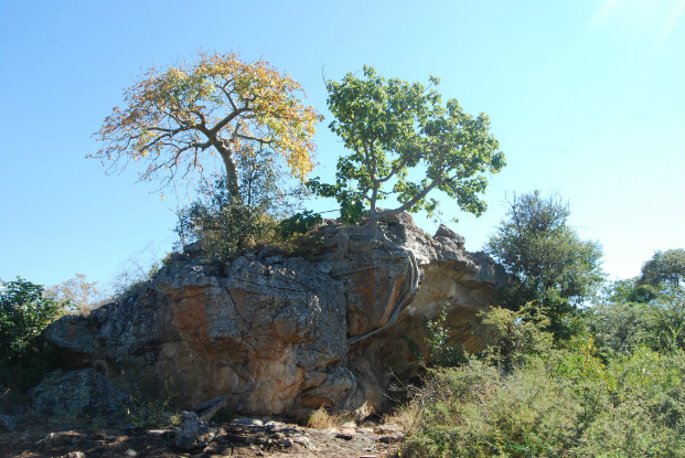The site of Makuleke's rock art