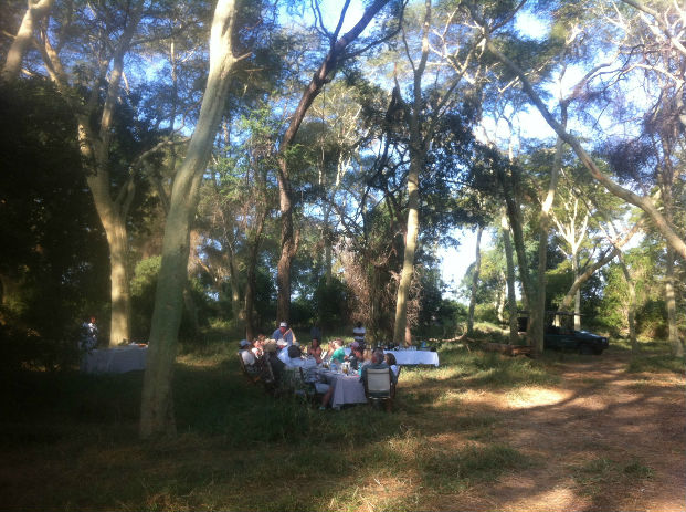 Lunch set out in the Fever Tree forest for the guests