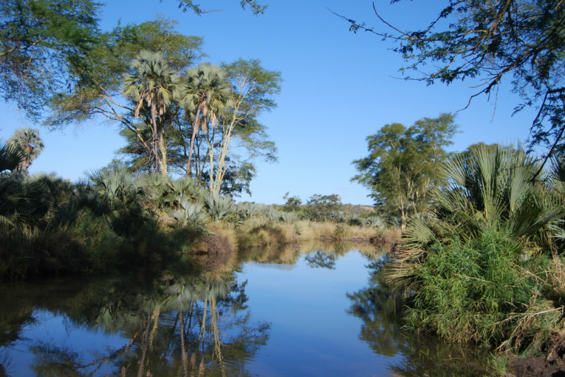 Wetlands - seasonal pan, Makuleke