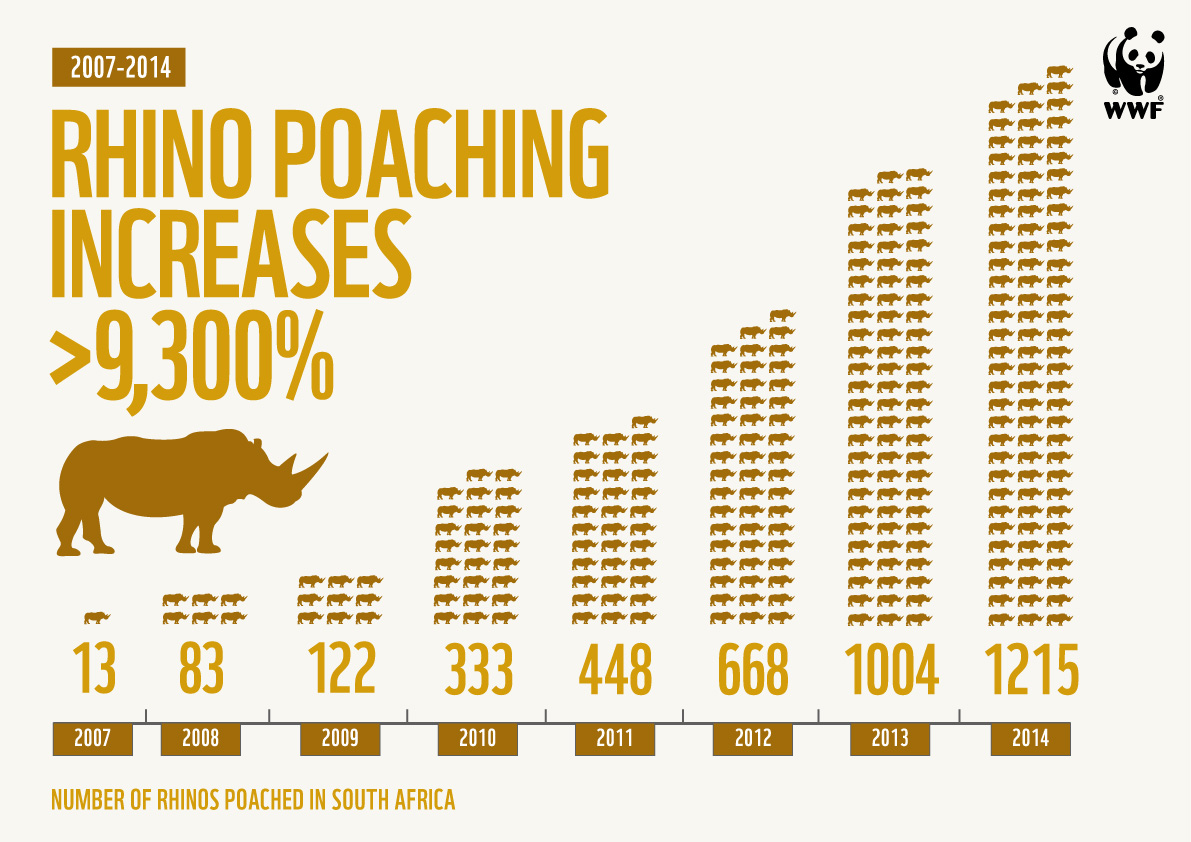Infographic showing the dramatic increase in rhino poaching up to and including 2014