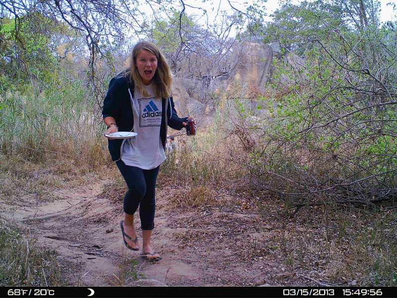 Ulrica being caught on the camera trap