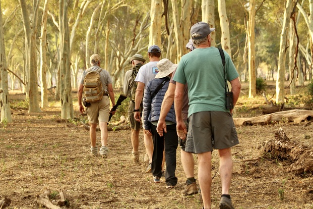 A line of people following an armed trails guide on a walking safari through the yellow trunks of a fever tree forest